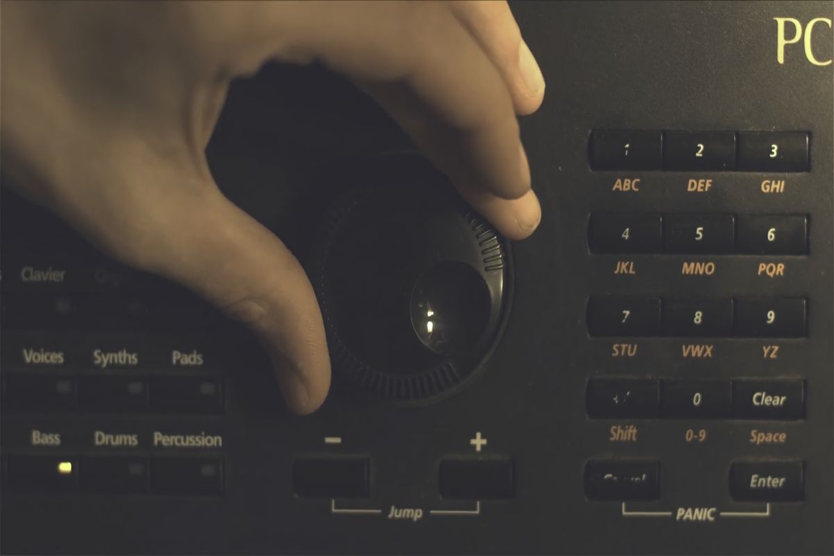 Cinnamon Settings application showing theme configuration on Ubuntu 14.04