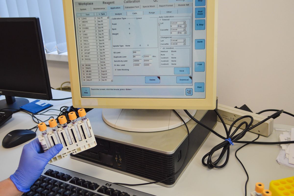 Terminology terminal emulator showing inline image preview and split panes